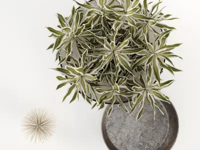 Decorative set w3 3D model