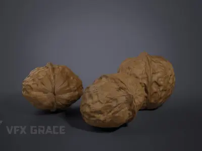 Walnut 001 3D model
