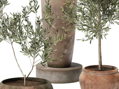 plant in pots  set 12 3D model