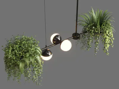 pendant light plant Indoor  outdoor plants hanging pot 3D model