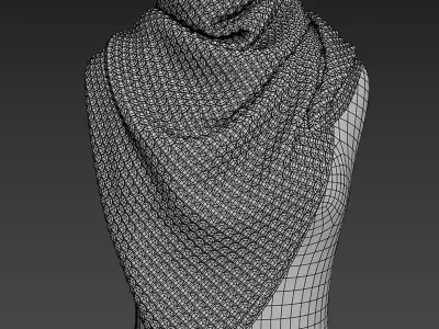 Shawl over the body 3 3D model