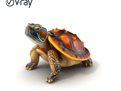 Spiny Softshell Turtle Detailed D Model Pack Low-poly 3D model