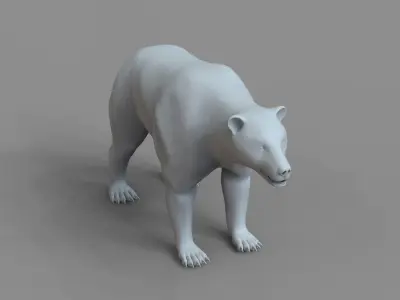 Bear Base Mesh 3D model
