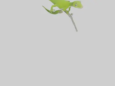 Green Anole climbing model Low-poly 3D model