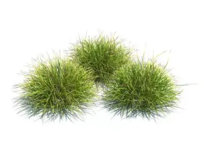 Three Peice Green Landscaping Grass 3D model