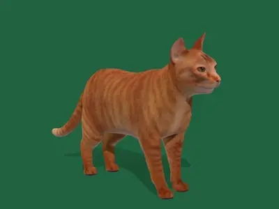 Ginger Tabby Cat Low-poly 3D model