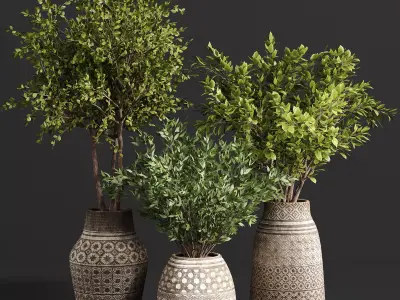 Indoor plant collection 22 3D model