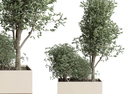 collection Indoor plant 50 vase wood 3D model