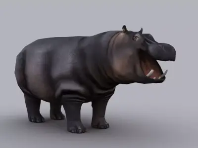 HIPPOPOTAMUS GAME READY ANIMATED MODEL Low-poly 3D model