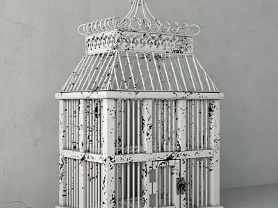 Zinan Decorative Cage by ZARA HOME 3D model
