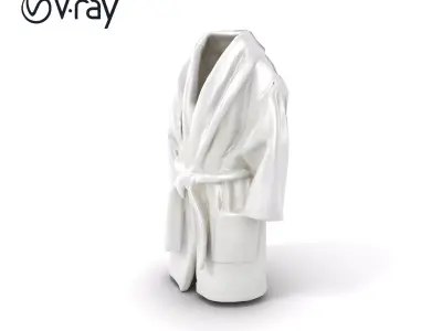 Luxury Bathrobe Fluffy Shawl Collar White Cotton model pack Low-poly 3D model