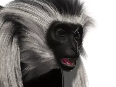 Colobus monkey with realistic fur Low-poly 3D model