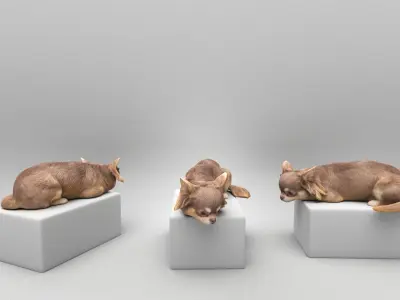 Lying dog 42 Low-poly 3D model