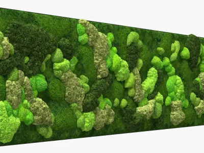 Reindeer Moss Wall Fur 3D model