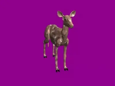 Deer 3d model Low-poly 3D model get