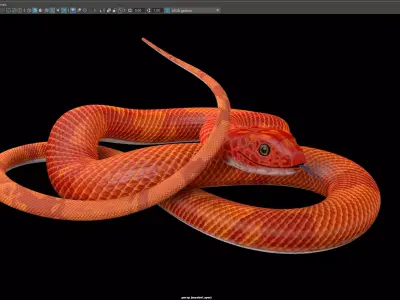 Snake - Orange 3D model