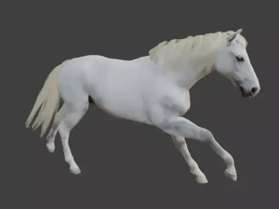 Animated White Horse 3D model