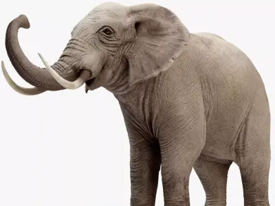 Animated Elephant 8K Low-poly 3D model
