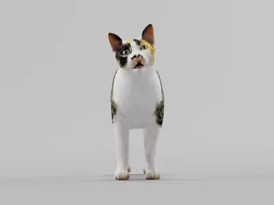 Japanese Bobtail Cat Low-poly 3D model
