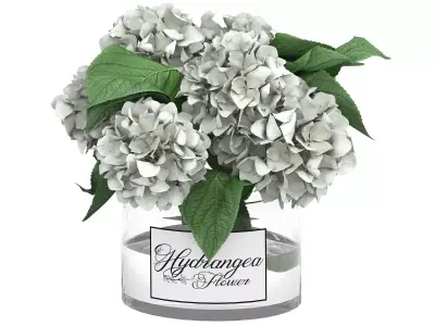 glass vase of white hydrangea flowers 3D model
