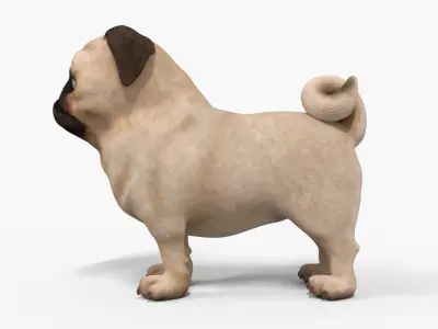 Pug Dog Toon Rigged Low-poly 3D model