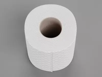 -Toilet Paper V9- 3D model