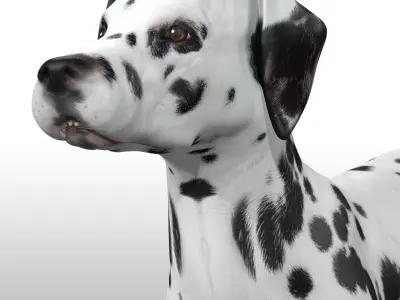 Dalmatian Rig Low-poly 3D model