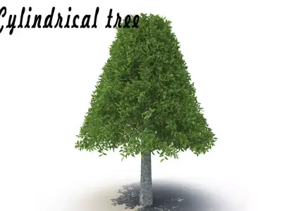 Cylindrical tree 3D model