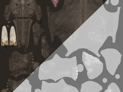 Elephant walk 3D model