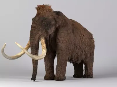 Mammoth Maya 3D model