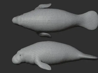 Manatee - Peixe-boi Low-poly 3D model