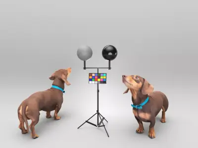 Playful dachshund dog 35 Low-poly 3D model