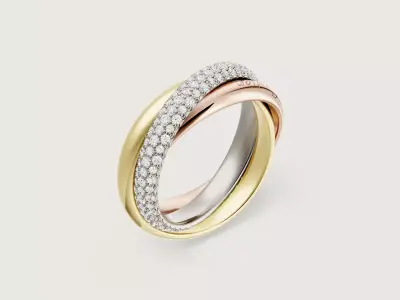 TRI - RING 3D print model