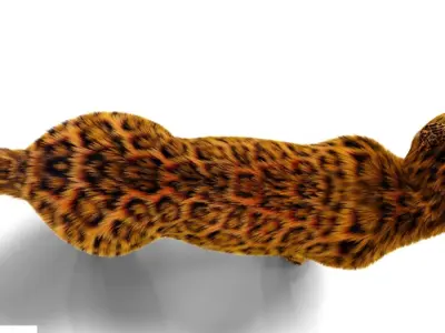 Fur Leopard Rigged  Low-poly 3D model