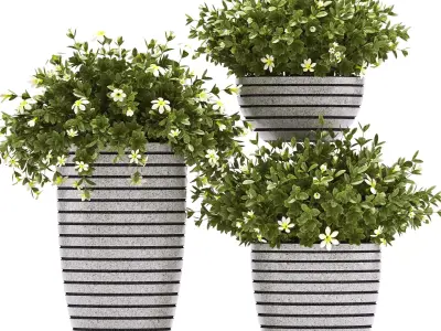 plants set 68 3D model