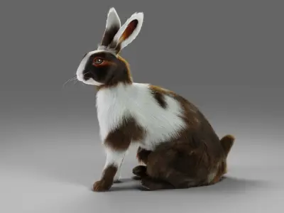 Fur Rabbit Gray V04 NO Rigged Low-poly 3D model