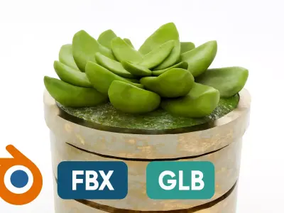 Rustic Steel Succulent Pot 3D model
