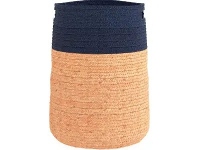 Jute Planter 3D model