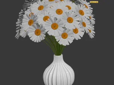 Chamomile in vase 3D model