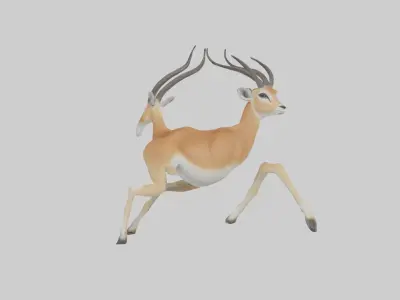 Gazelle running model 3D model