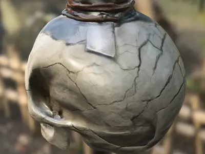 Side-Cracked Skull Flask 3D model