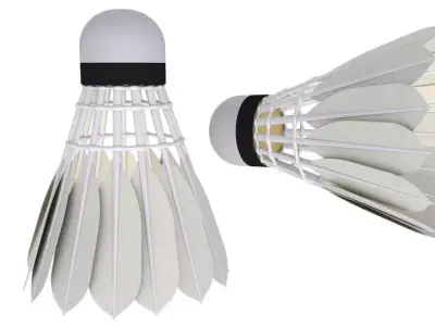 Badminton Racket and Shuttlecock 3D model