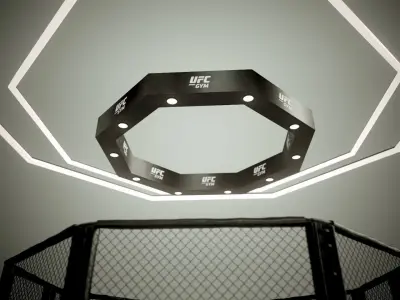 UFC MMA Ring Octogone 3D Model 3D model