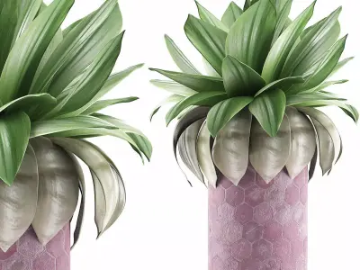 Plants Collection 101 3D model