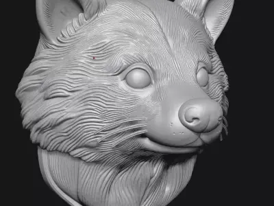 raccoon 3D print model