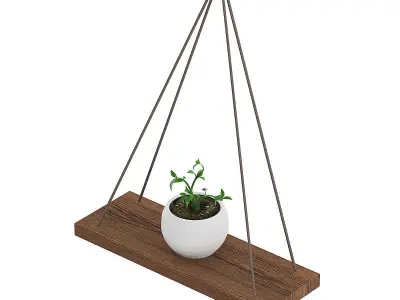 Wall Shelf on the Rope with Small Plant 3D model