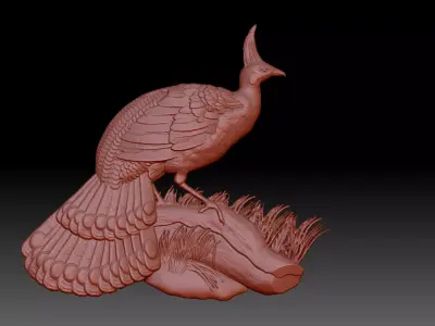 Peacock 3D print model