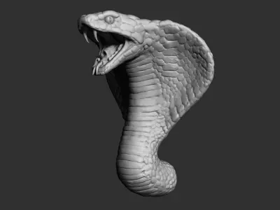 Cobra Head 3D model