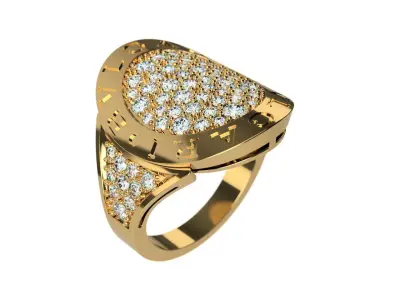 Ring 0213 3D print model