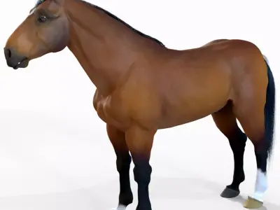 Horse 3D model